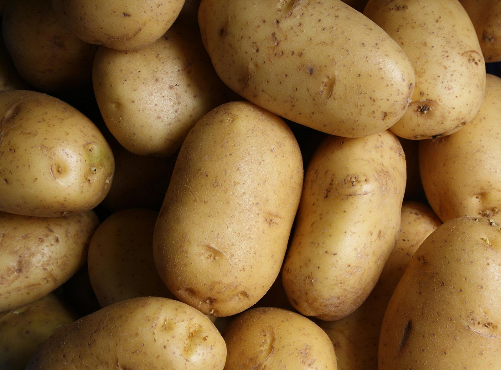 Precision Tools For Professionals And Home Experts