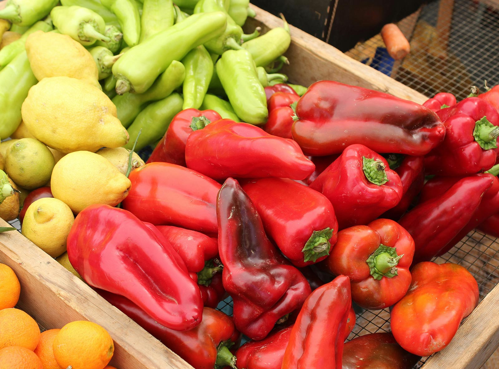 Strong Tools, Smart Designs, Proven Jobsite Value