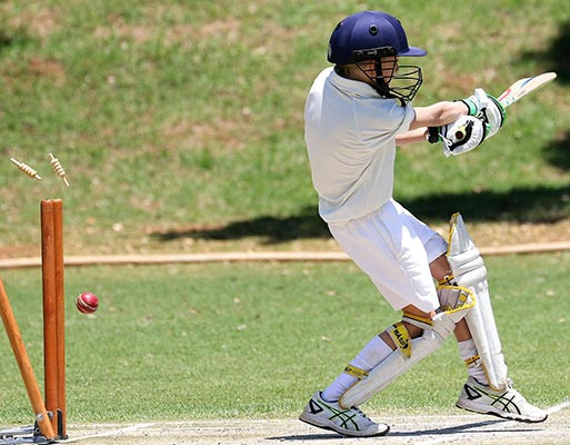 Affordable, long-lasting tools built to work as hard