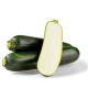 seeds basket zucchini green long