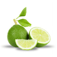 Klone palestinian sweet lime seeds