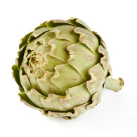 cybexis artichoke green globe seeds