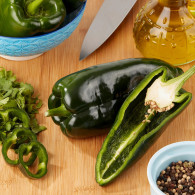 jumbo jalapeno giant mexican pepper