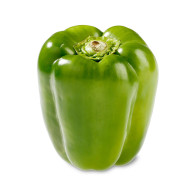 kirat organic green capsicum seed