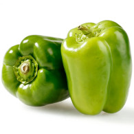 kirat organic green capsicum seed
