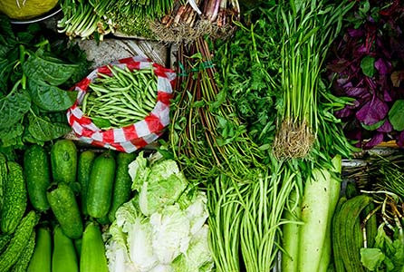 Experience The Joy Of Cooking With Freshly Picked Organic Vegetables