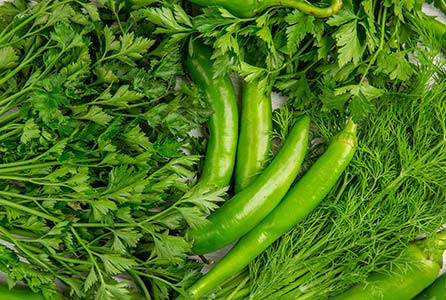 Discover How Fresh Vegetables Can Transform Your Daily Eating Habits