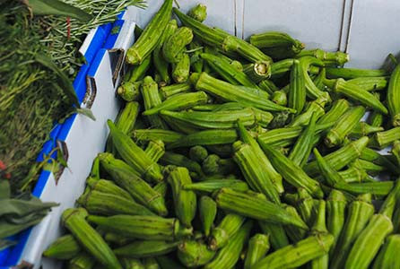 Enjoy Nature’s Goodness With Fresh Vegetables Full Of Vitamins Daily