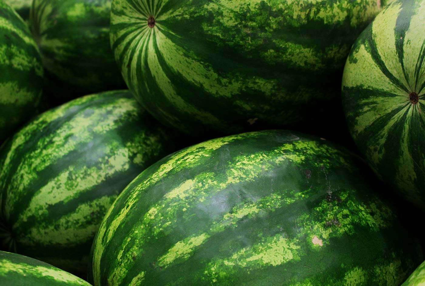 Taste The Difference With Fresh Vegetables Grown Organically And Responsibly