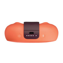 bose sound link micro water proof wireless
