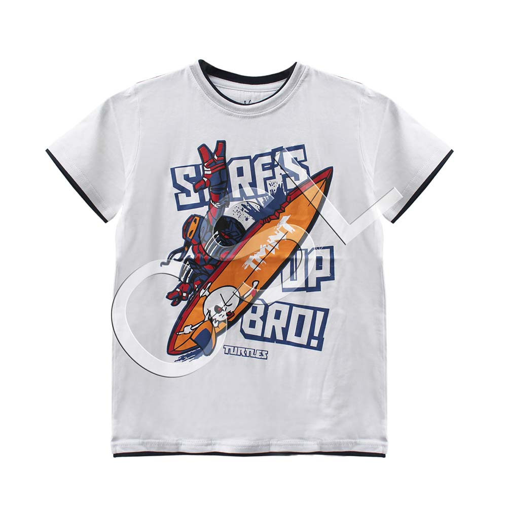Junior Boy Multicolor T-Shirt