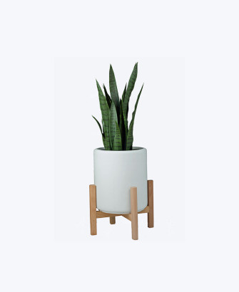 creative farmer indoor
