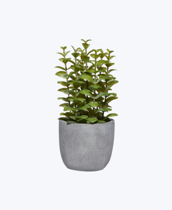 artificial leaf plant