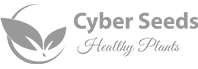 Cyber Seeds