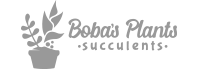 Bodas Plants