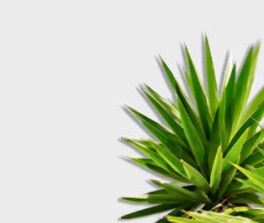 cms-banner-3.webp