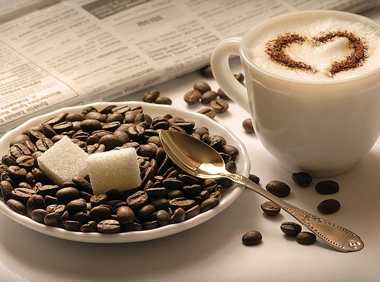 From Bean to Cup Understanding the Journey of Fresh Coffee