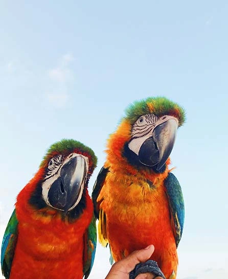 cms-banner-3