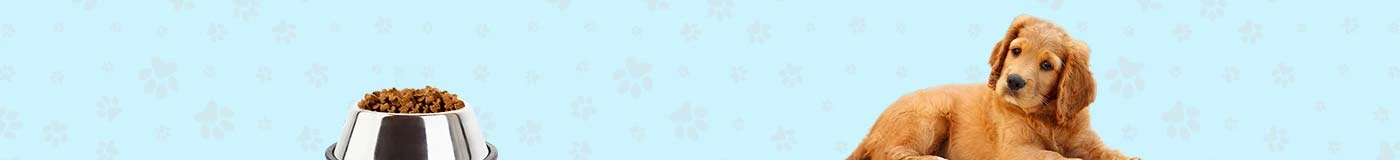 cms-banner-1