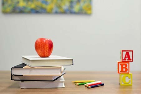 Explore exciting toy collections for curious minds and active play