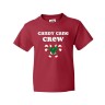 fireworks canadian flag men and women t-shirt